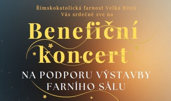 BENEFIČNÍ KONCERT 