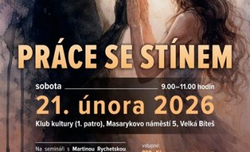 PRÁCE SE STÍNEM