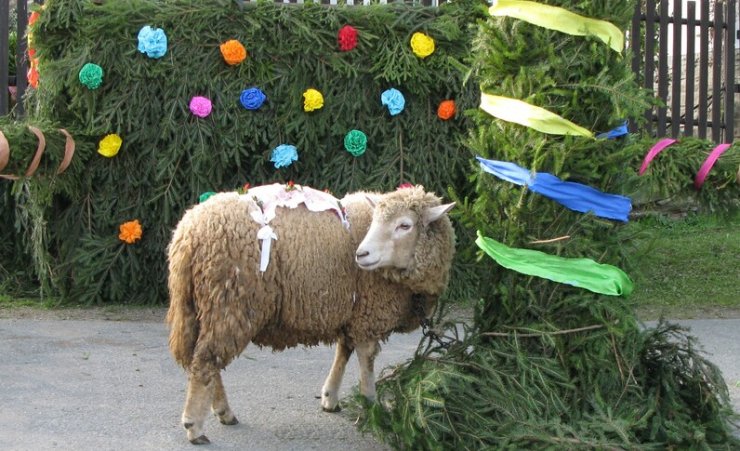 PŘEDNÁŠKA Rok na vsi – 3. část: PODZIM