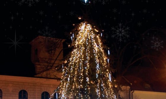 ROZSVÍCENÍ VÁNOČNÍHO STROMU