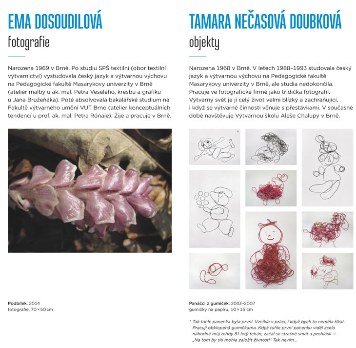 Kazdy ves jina pes 2