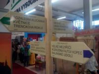 12821348 960977860655582 8604386135321964831 n