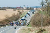 BrychtaJan Bites 160402 120215 DSC 7408