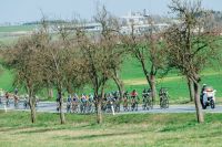 BrychtaJan Bites 160402 153323 DSC 7790