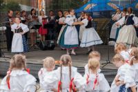 bitesska pout skoda 2016 50