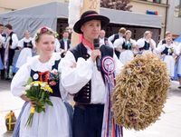 DSC 8542-11257-800-600-80