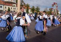 DSC 8559-11259-800-600-80