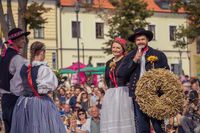 IMG 9222-11434-800-600-80