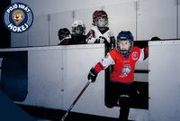 HCVB-Pojď hrát_hokejfoto