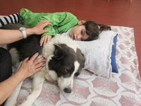 Téma měsíce_foto_3_Nesa