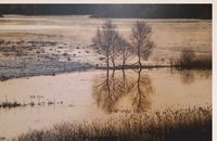 plakát král_velčovskýfoto