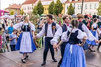 IMG 1924-16618-800-600-80