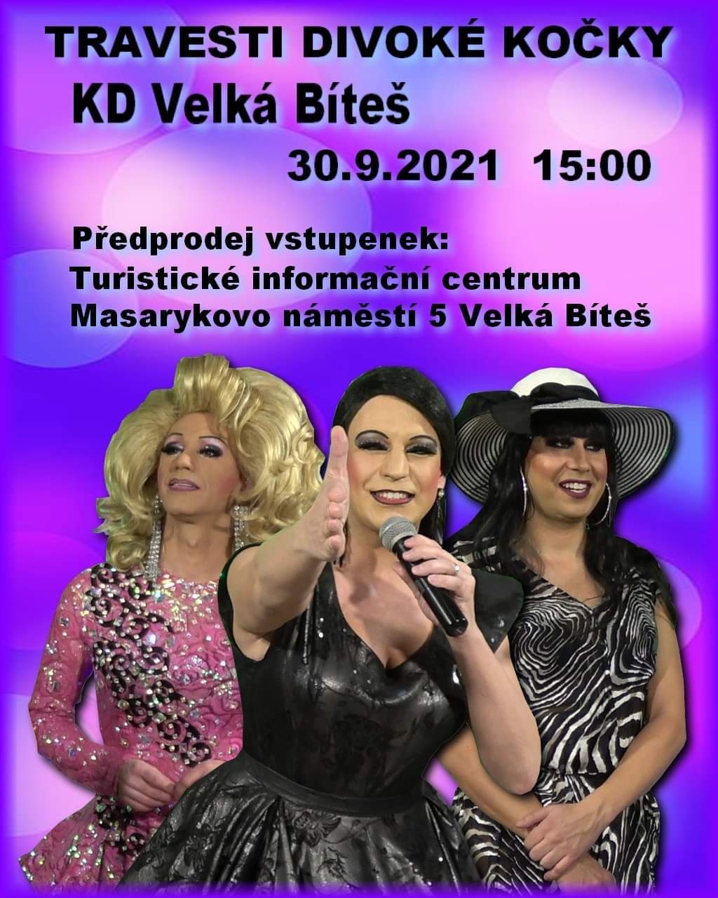 divoké kočky nové