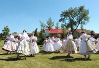 Královničky tanec_louka