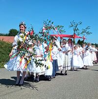 králky mobil5_2022_2