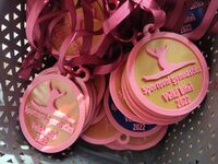 závody gymnastiky_medaile