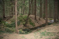 Tvrziště Rohy_archeologickyatlas.cz