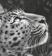 Výstava-Patrik Oško