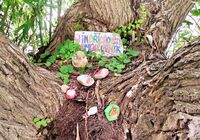 Jindřichovský kamínkovník