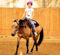 Ranč Zálesná_zhoř_foto_nové