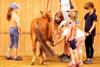 Ranč Zálesná_zhoř_foto_nové3