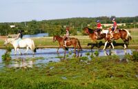 Ranč pod_Jasany_děti_a_koně