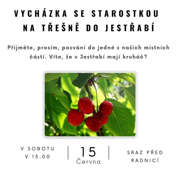 Vycházka se starostkou 2 002