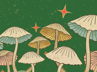 pohadkovy-les-uvodni