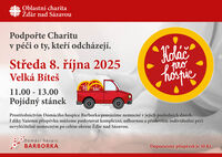 Koláč pro_hospic_Velká_Bíteš_copy