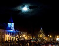 vánoční strom_-_novoroční_oslavy