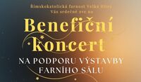 koncert benefoto