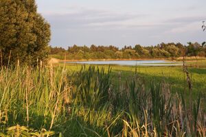 prirodni park_trebicsko