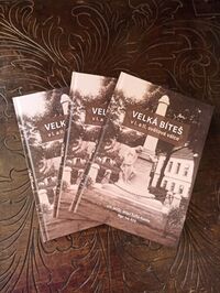 nová kniha_velká_bíteš_copy