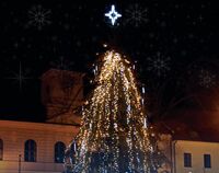 strom 2025_copy_copy