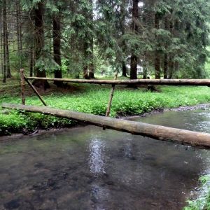 Přírodní park Údolí Bílého potoka (od 4 km)