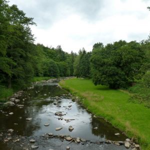 PR Údolí Oslavy a Chvojnice (14 km)