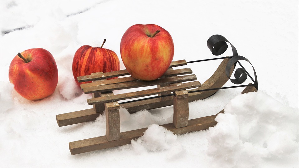 PŘEDNÁŠKA EVY GRÉGROVÉ - BUDOUCNOST PREVENTIVNÍ MEDICÍNY - ZMĚNA PŘÍSTUPU KE ZDRAVÍ